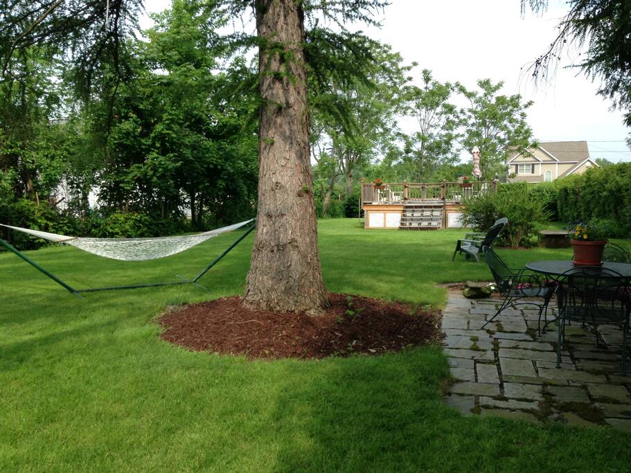 Backyard