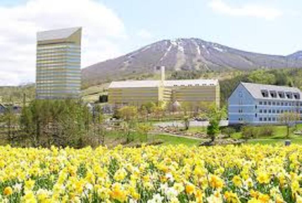 安比高原春 Appi Kogen spring