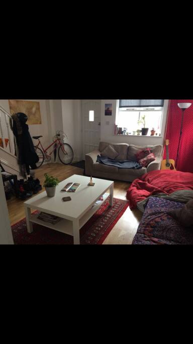 Homely living room with comfortable couches and beautiful natural sunlight