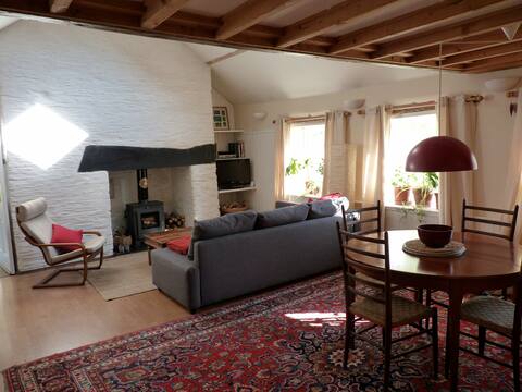 Pretty sunny cottage, Machynlleth