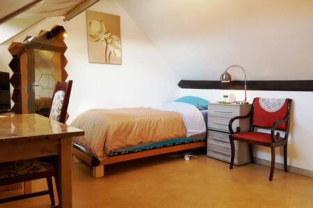 Private Bedroom/Netflix. Apartment with the host.