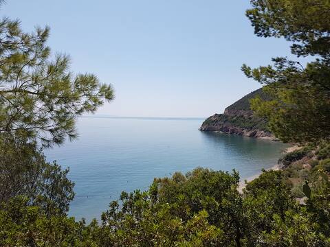 Beachfront Villa Panos with panoramic sea views