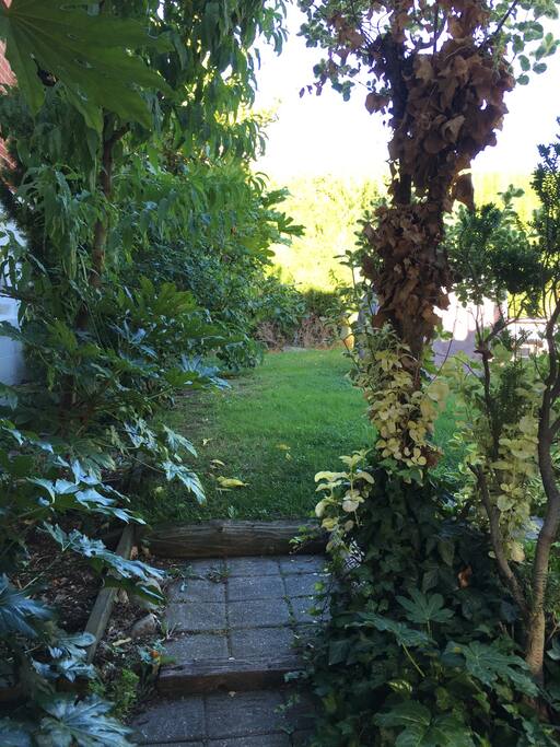 The back door area