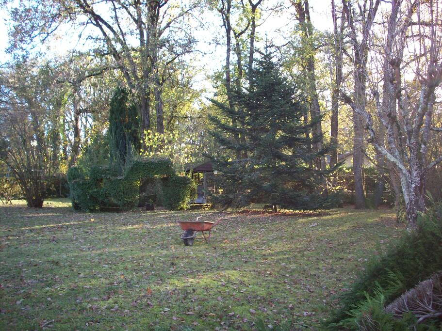 une partie du jardin