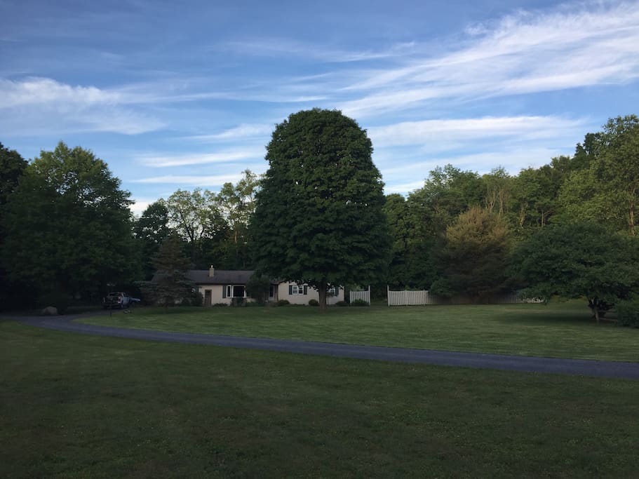 Two acres of land, perfect for frisbee, soccer, and BBQs.