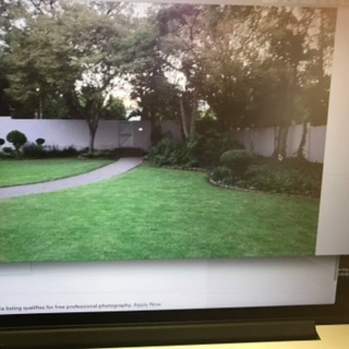 Garden