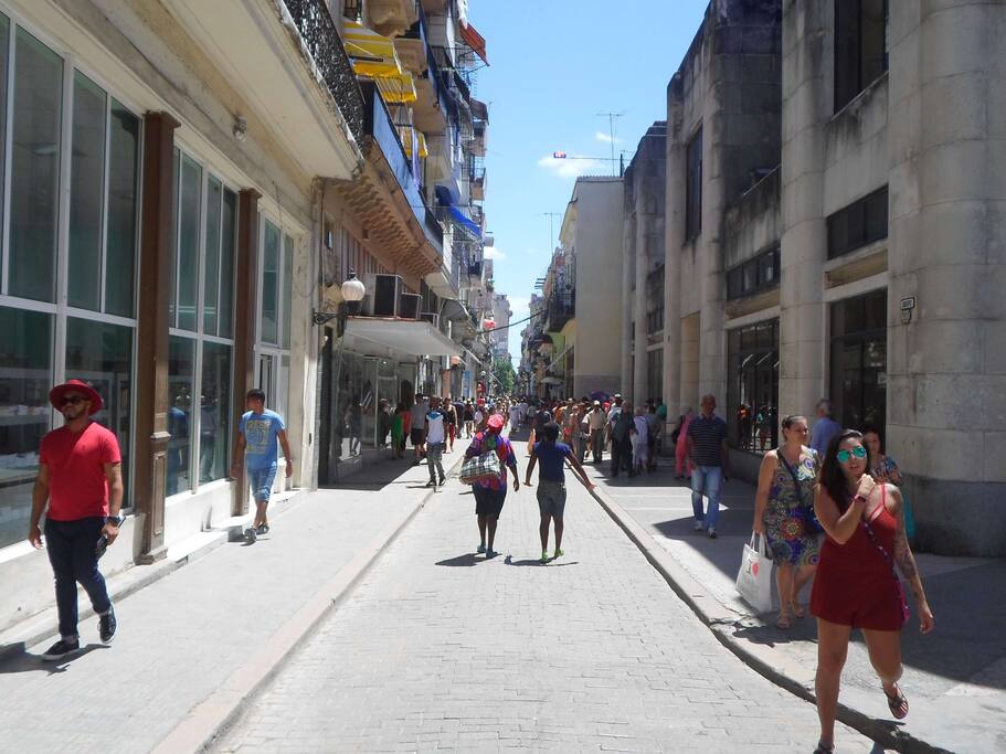 Estarás justo al lado de la popular calle Obispo / You will be right next to the popular Obispo Street