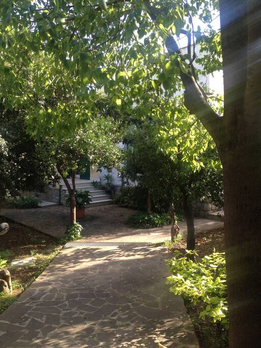Giardino ingresso