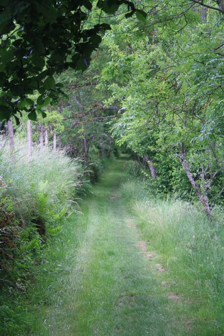 Chemin de randonnée