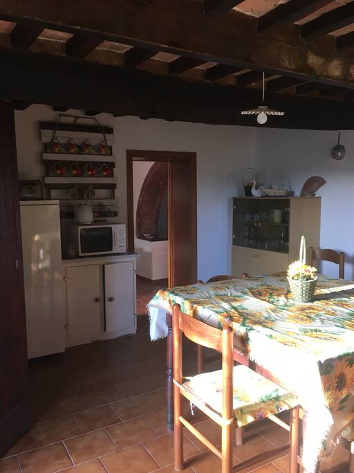 Cucina - kitchen