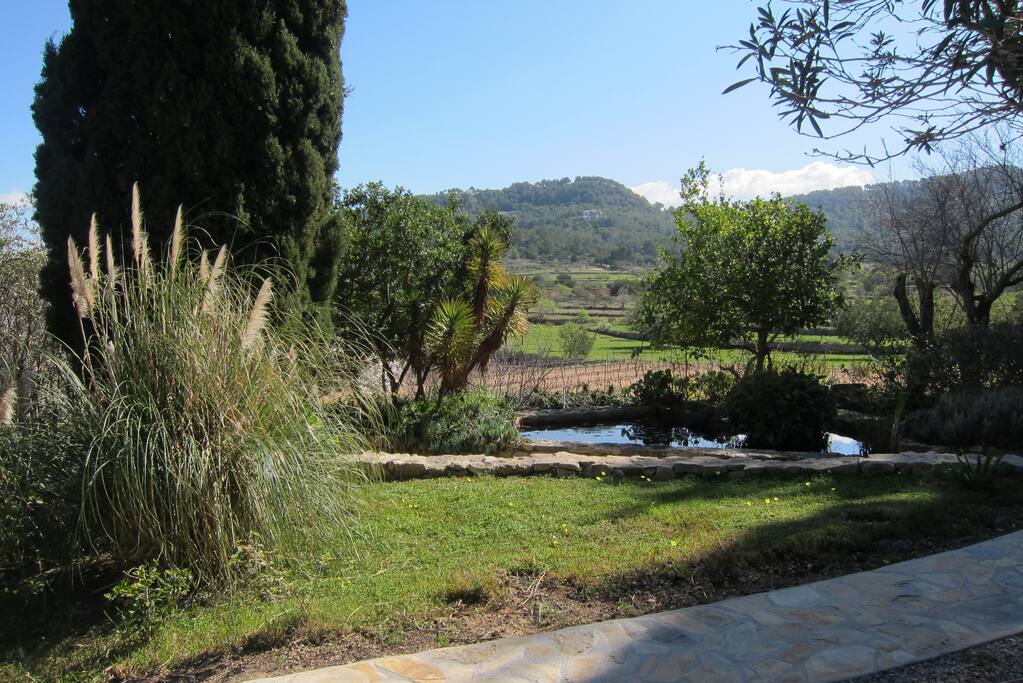 fish pond