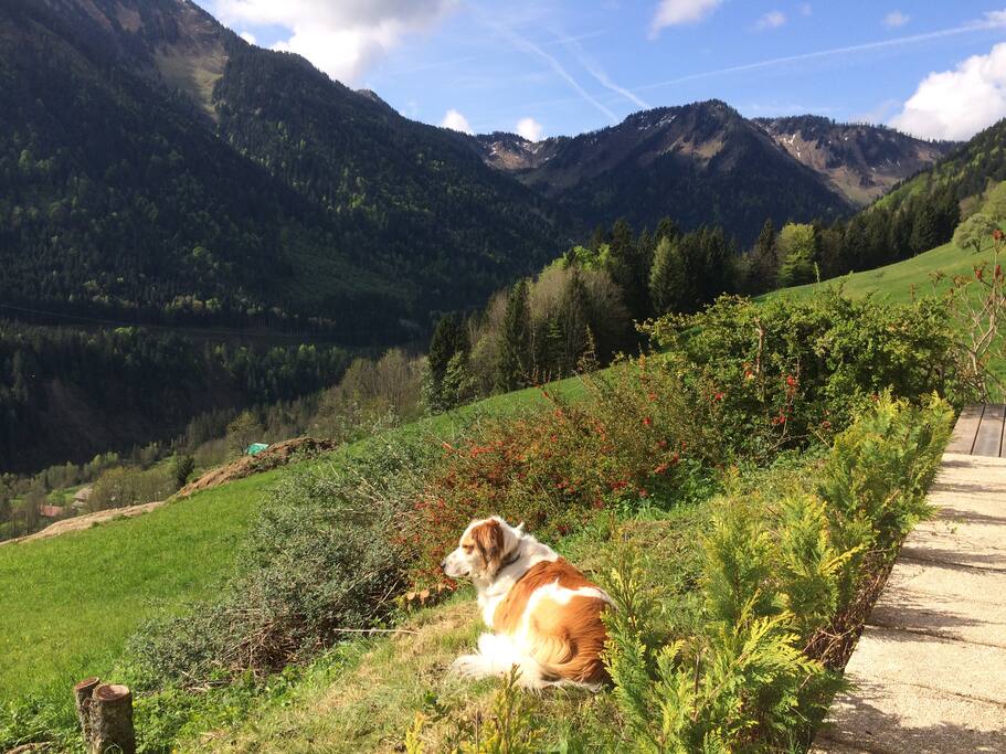 Ollie loves to meet new friends!