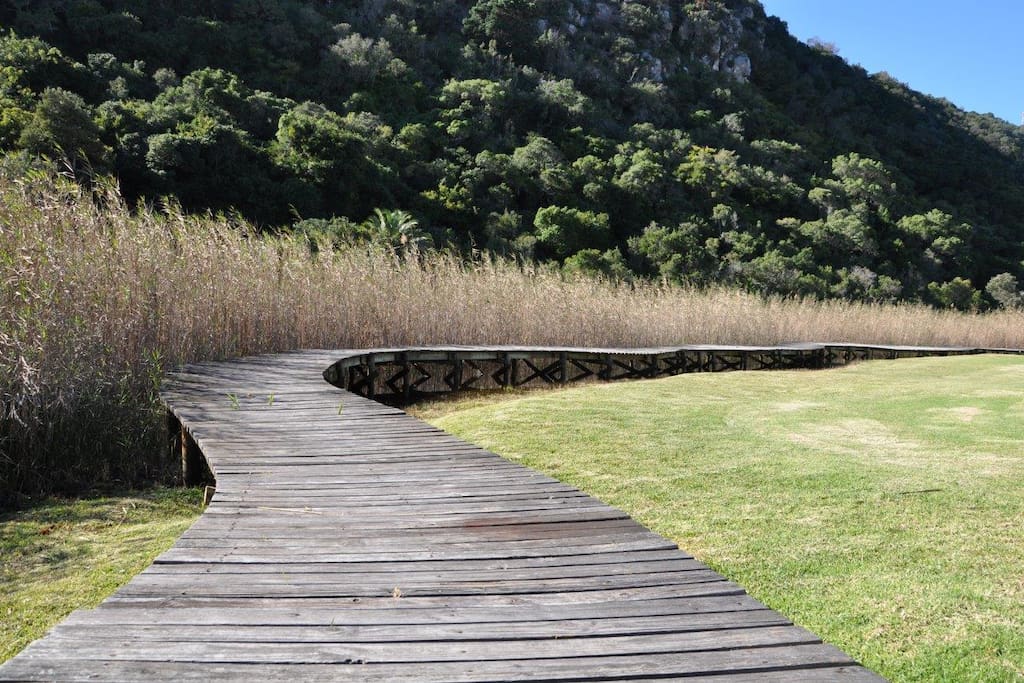 River walkway