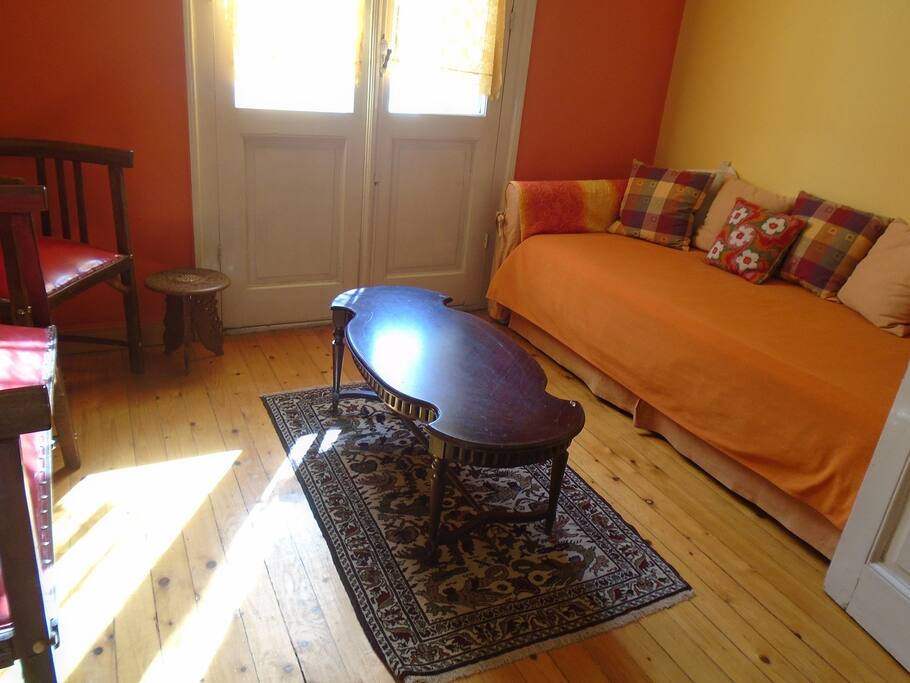 living room with the sofa bed