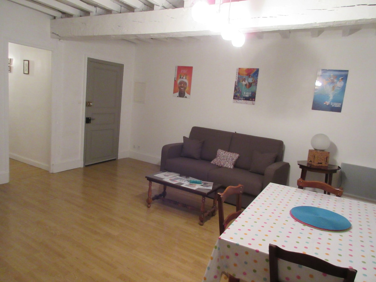 Airbnb performant: Large independent 2-room apartment in the center of Mirande à Gers