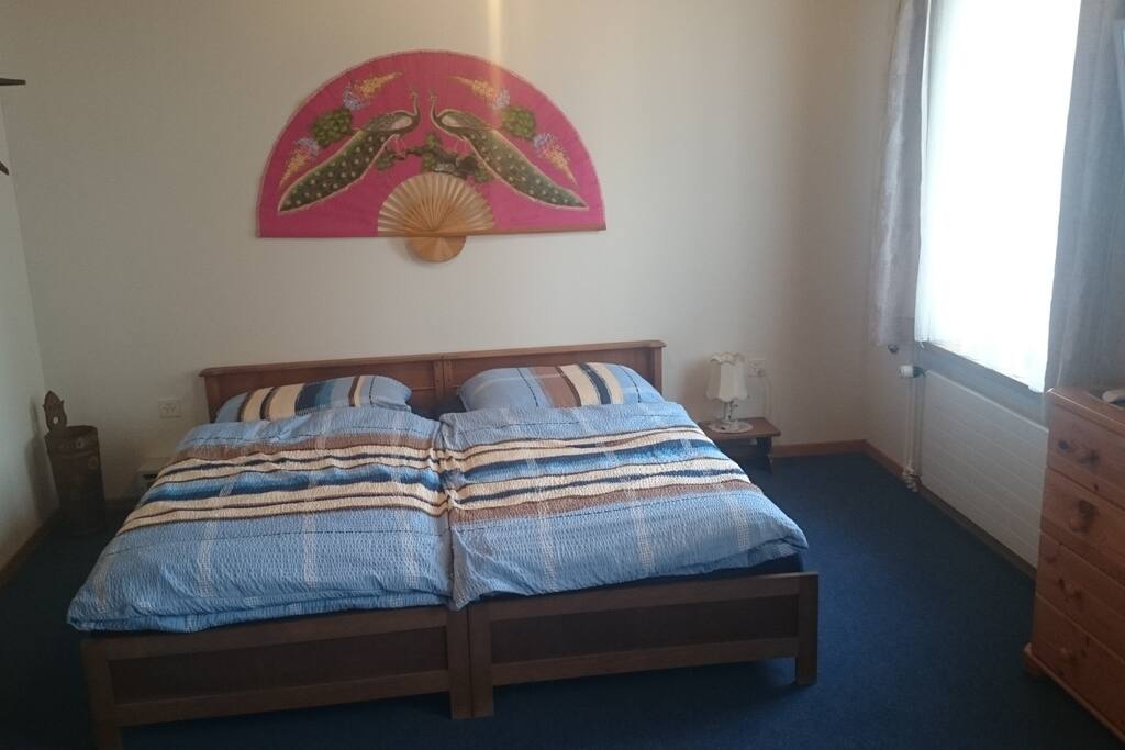 Drachen Zimmer: grosses Bett für 1 oder 2 Personen, ruhige Lage, Blick in den Garten, sehr bequeme und gute Matratze und Bettwäsche