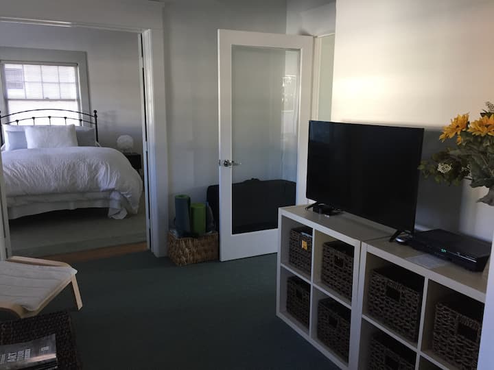 TV/Reading Room (Apple TV, Netflix, Cable)  with sofa bed and floor cushion