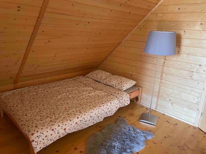 Habitación 1