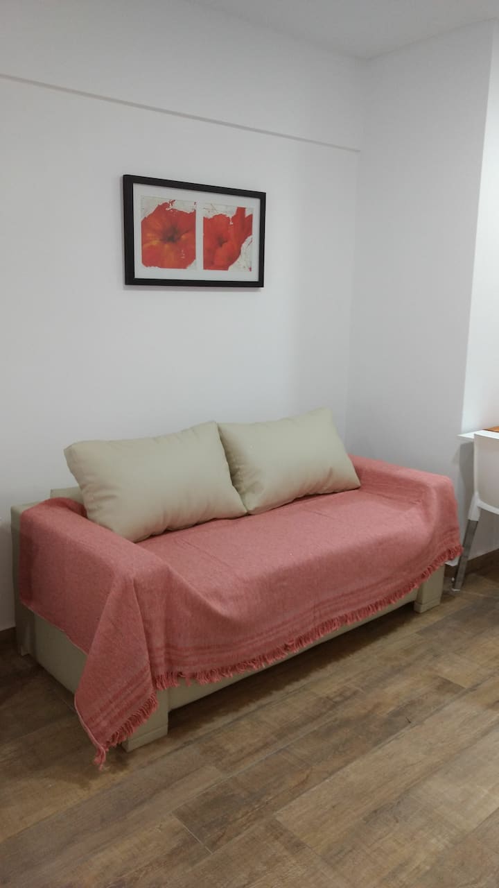 Furnished studio apartment with balcony in Recoleta