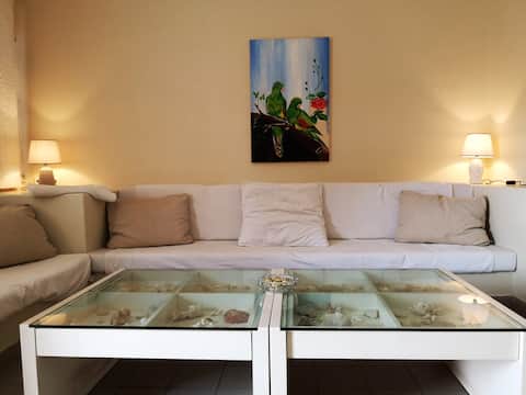 PALM TRESS AND WHITE SAND BEACH - DREAM APARTMENT