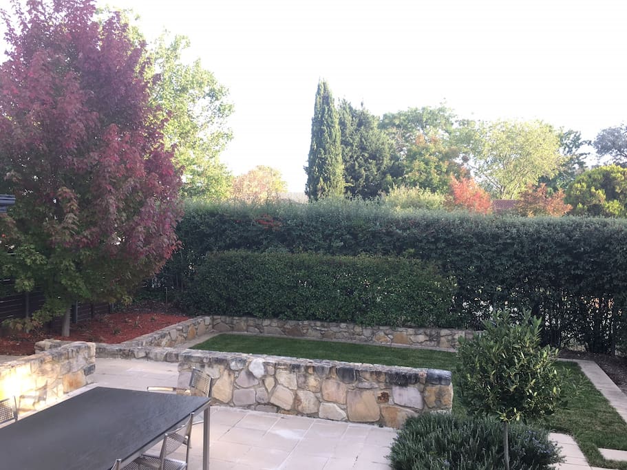 Beautiful garden outlook