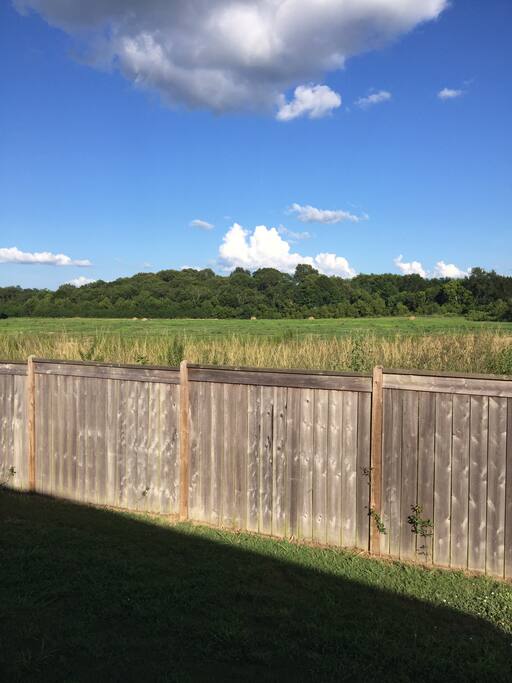 Backyard view