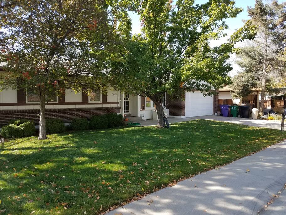 front yard