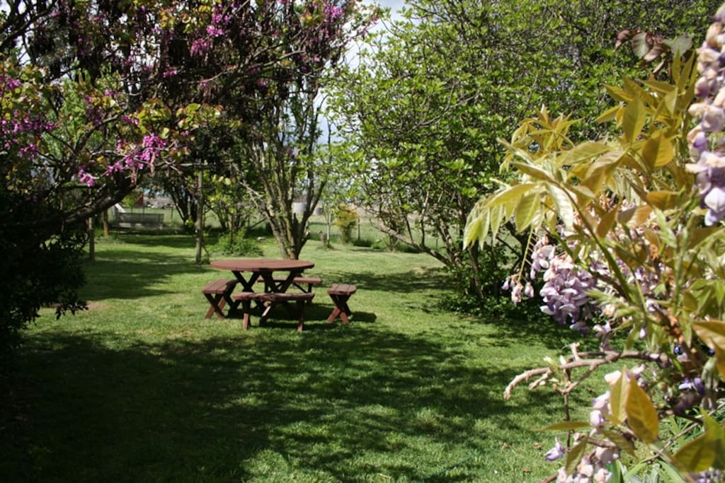 Enjoy a beautiful breakfast in the garden