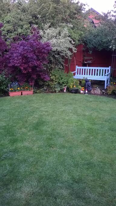 back garden