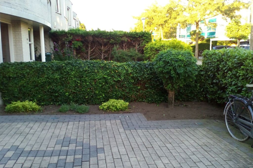 Voortuin