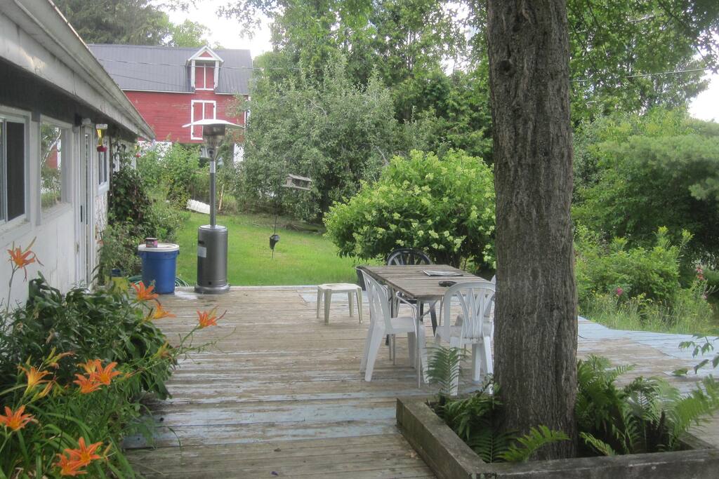 Terrasse arrière