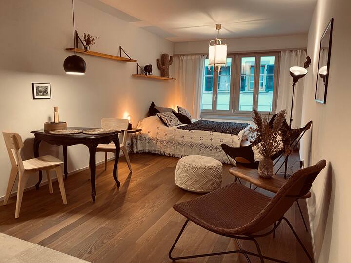 Plage de Nyon Holiday Rentals & Homes Nyon, Switzerland Airbnb