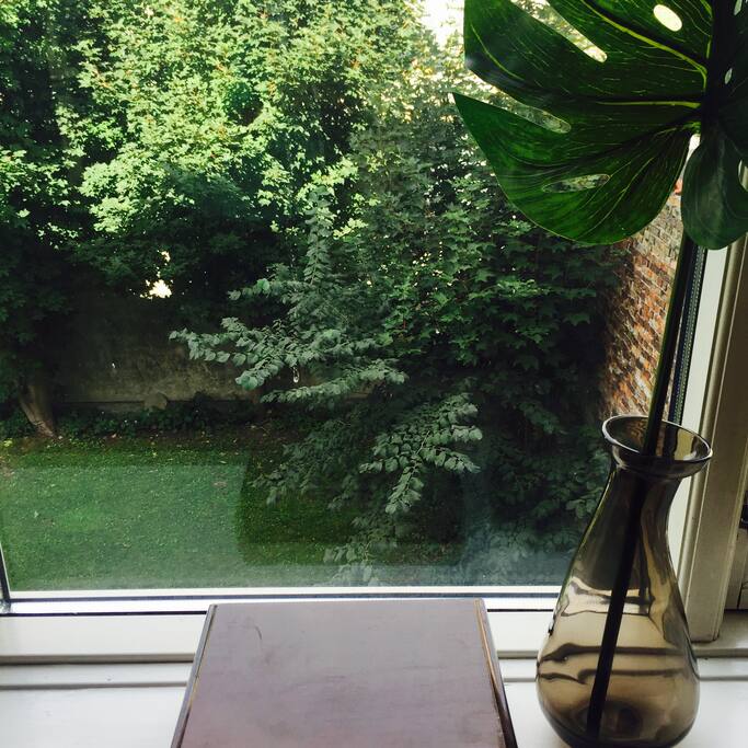 View from room 2