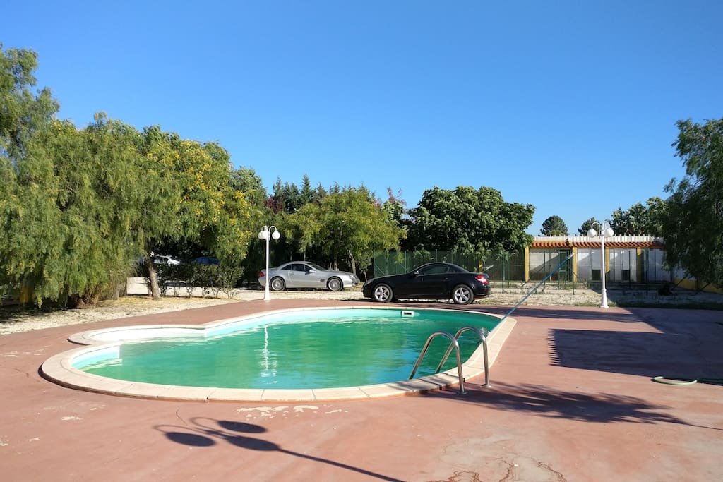 The pool