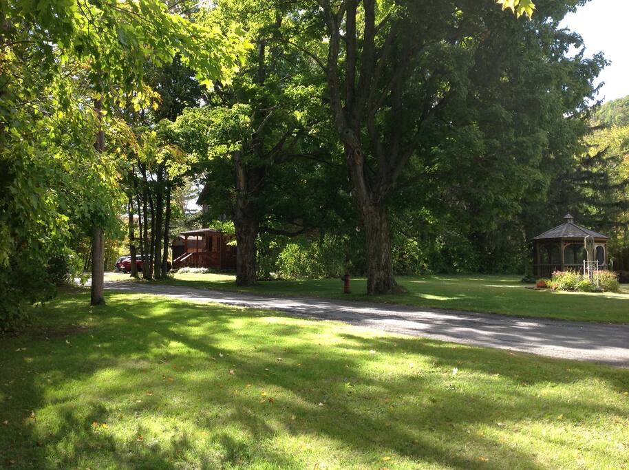 Side of the house