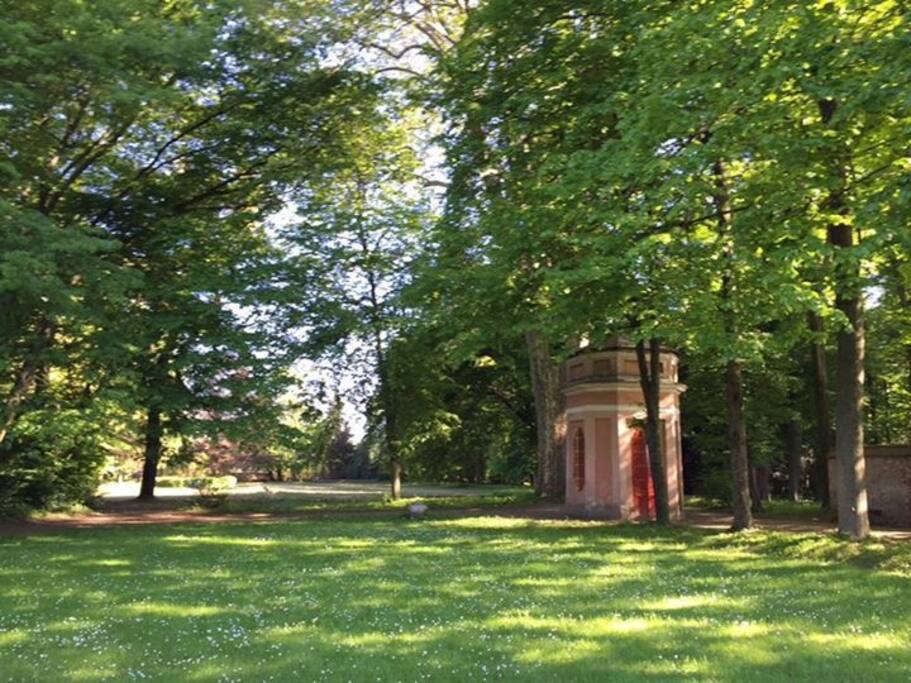 scorcio del parco