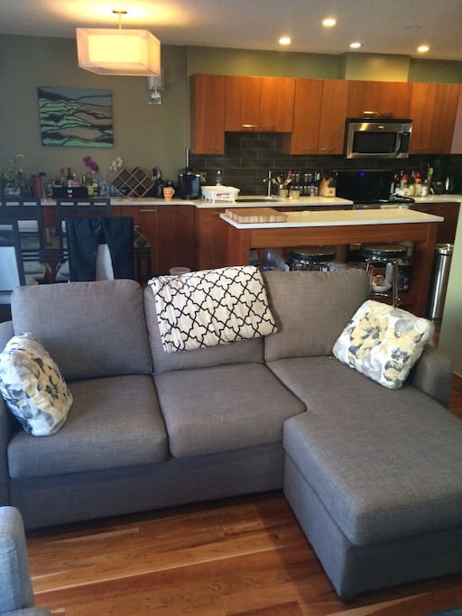 Double pullout couch.