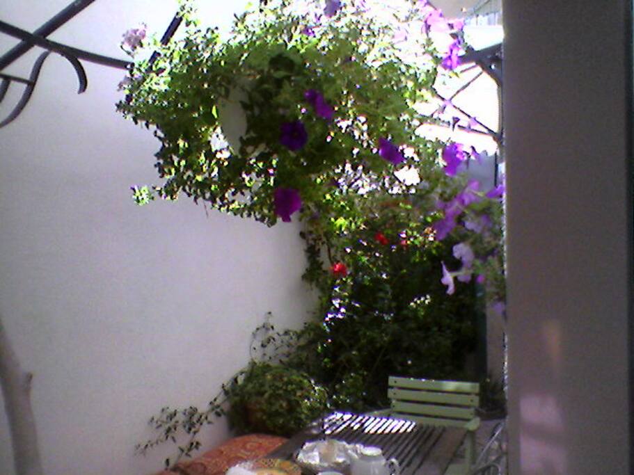 LA TERRASSE au printemps/été