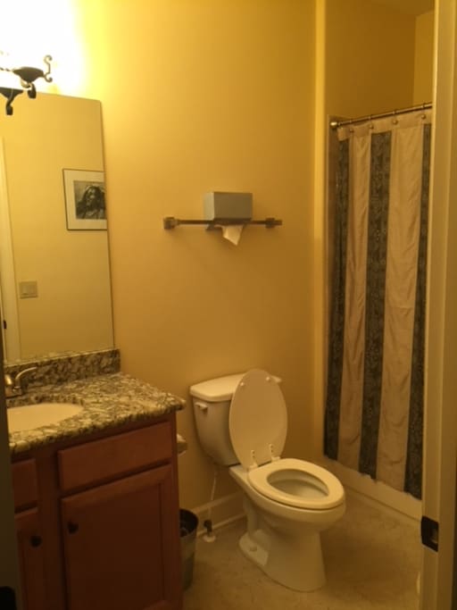 Guest Bathroom