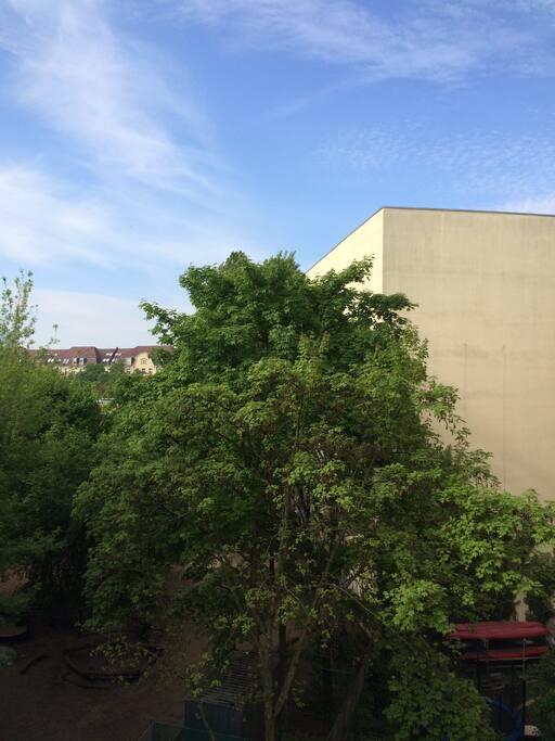Blick aus dem Zimmer in den grünen Innenhof