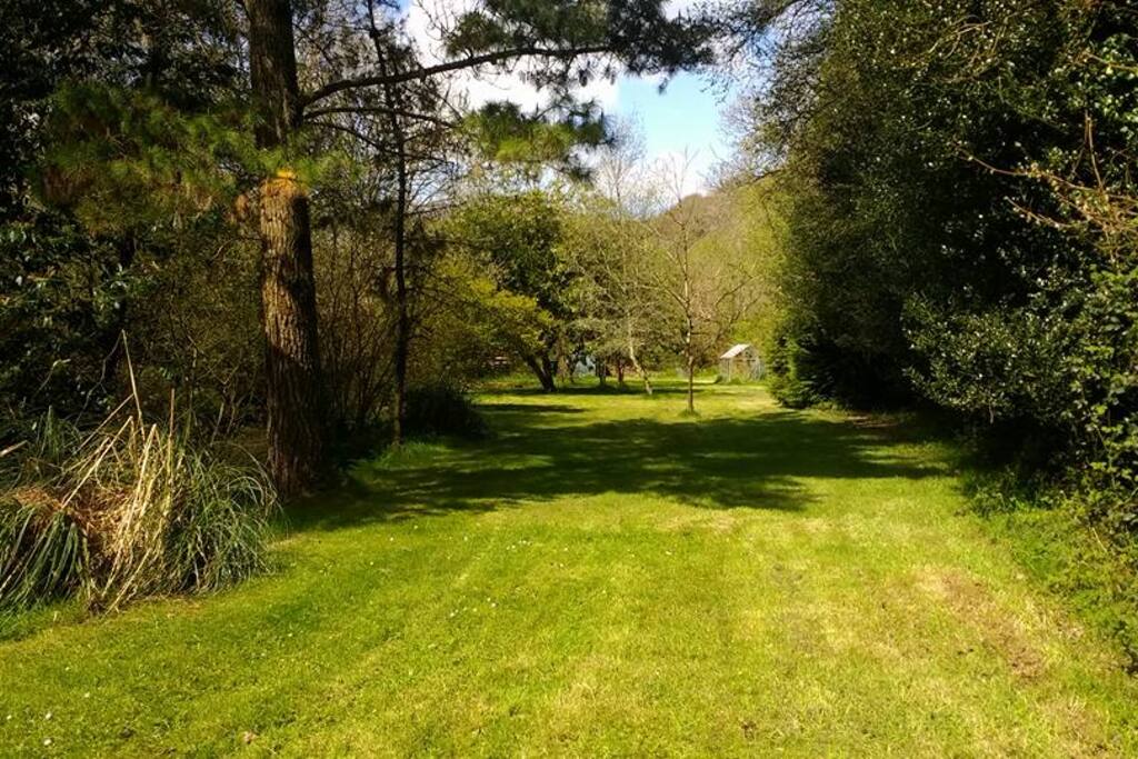 Top of the garden.