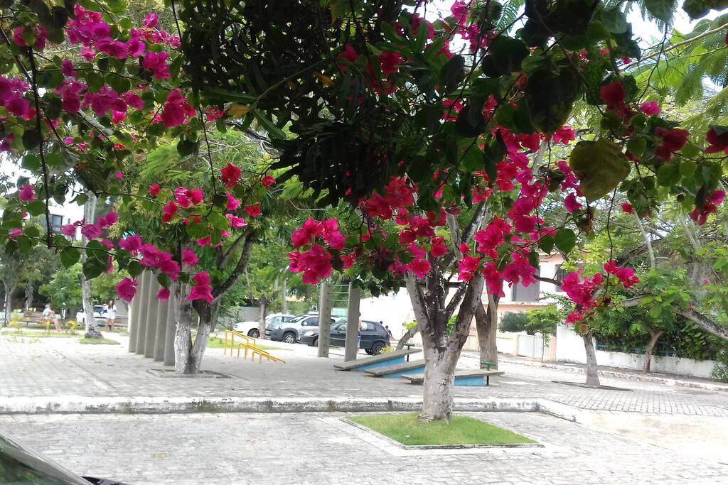 PRAÇA ENFRENTE A CASA