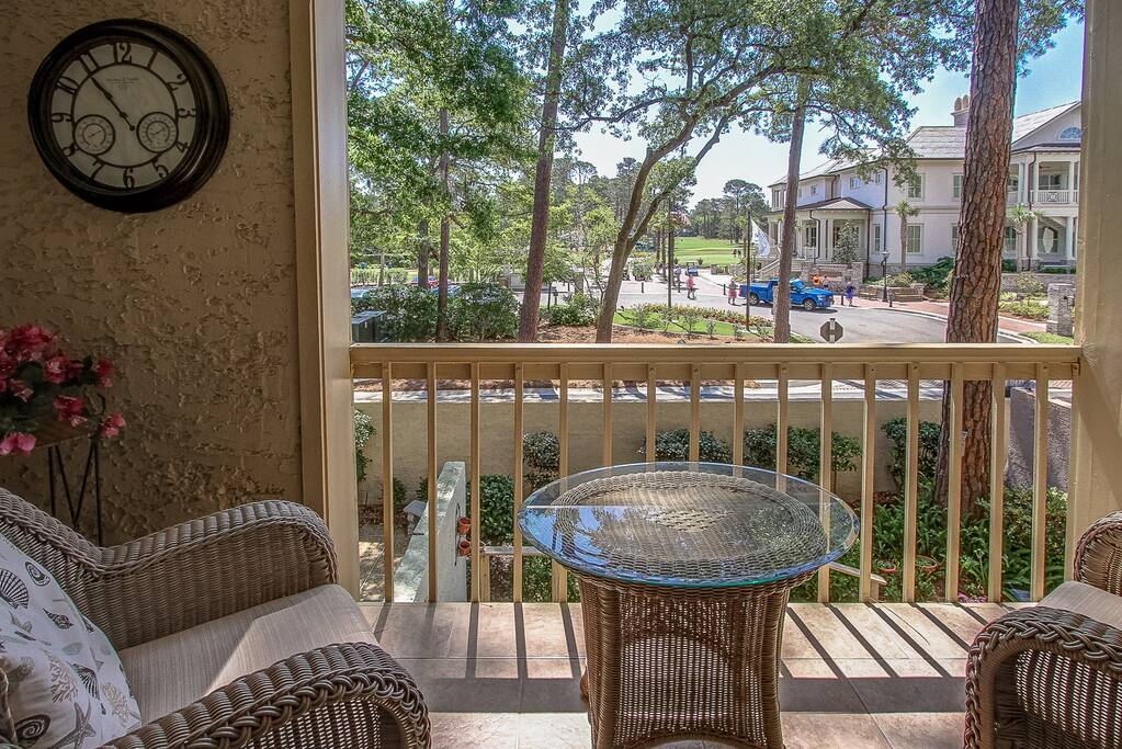 Patio/View