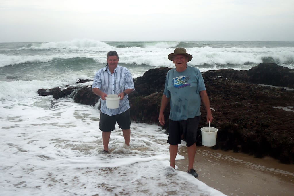 Host & guest collecting mussels off the rocks, which are the cooked or smoked - yum!