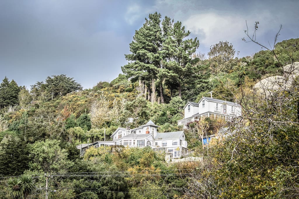 Looking across Carey's Bay valley to our house.