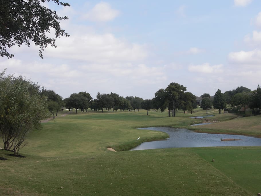 Golf Course Runs Through Neighborhood