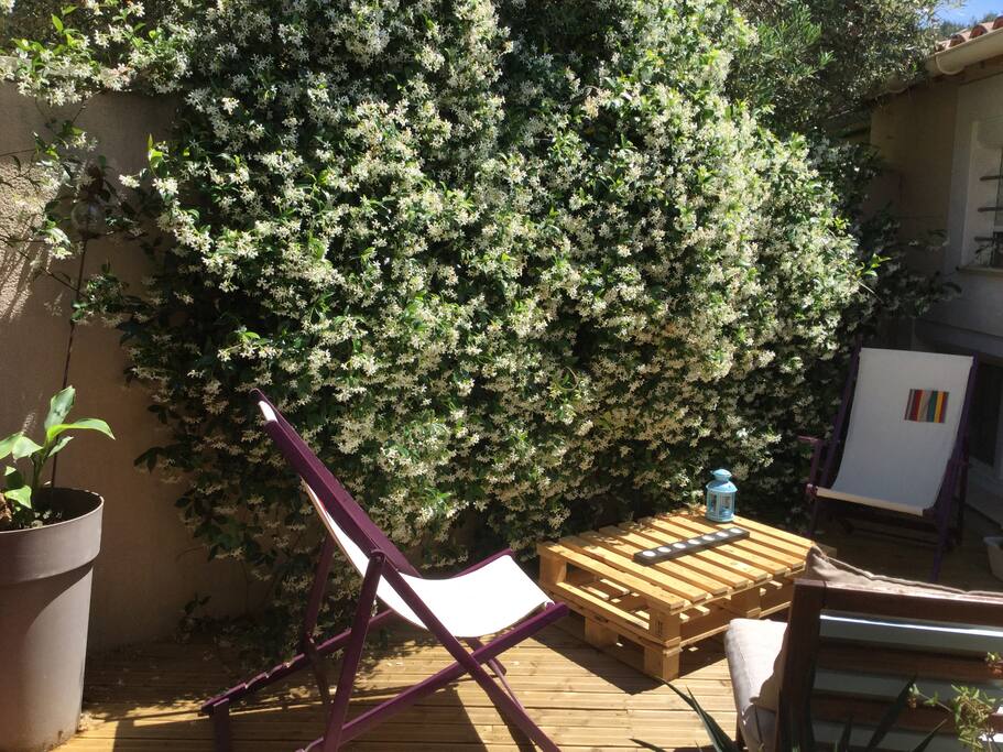 Possibilité de petit déjeuner sur la terrasse