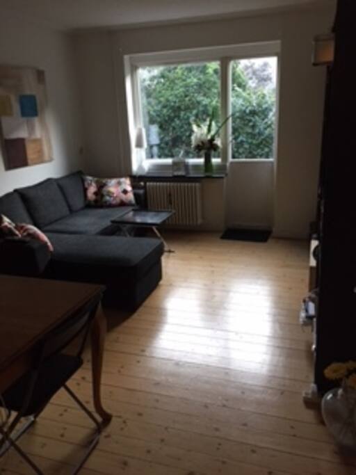 Sofaen kan laves om til seng til 2 personer. Der er spisebord og tv.