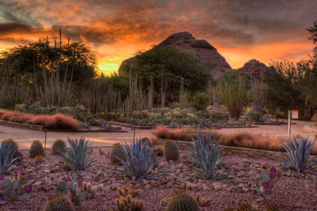 Hiking & Walking Trails are less than 1 mile from where you'll be staying. Voted Top 5 BEST Scottsdale Vacation Rentals 1BR 2BR and 3BR available SAVE 50% Jim Gioiosa 6 0 2 317/2006