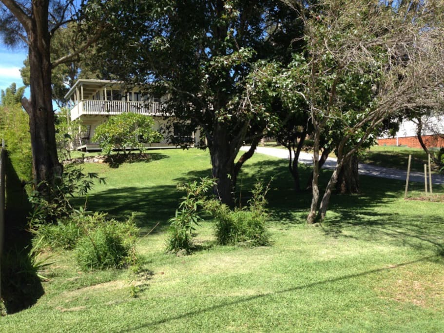 Front yard from the road.